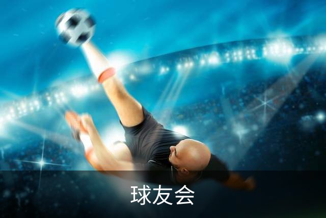 球友会公司简介